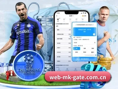 mk体育入口 APP
